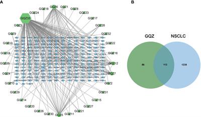 Gou Qi Zi inhibits proliferation and induces apoptosis through the PI3K/AKT1 signaling pathway in non-small cell lung cancer